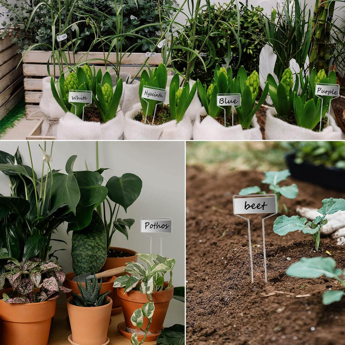 plant labels plant markers for outdoor plants 6inch showing dimensions