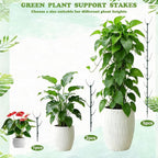 Stackable Monstera Moss Pole - 5 PCS Coir Plant Support Stakes for Indoor Plants, Bendable Totem Pole for Climbing Vines, Money Plant | Durable Indoor Plant Stakes (5 Pack)