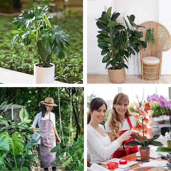 4 Pack Plant Support Stakes, Plant Stakes for Indoor and Outdoor Plants. 28inch Plant Sticks with Extension Poles, Plant Clips, Plant Ties for Potted Monstera Plants, Climbing Plants