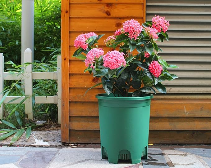5 Gallon 20-Pack Green Nursery Pot Black Plastic Planters in Bulk with Drainage for Outdoor Indoor Large Plants Trees