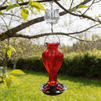 3oz Glass Ant Moat for Hummingbird Feeder, Clear Tulip Insect Guard | Stainless Hooks, Floral Buffer, Nectar Protector, Water Barrier Blocking Bugs, 3 Ounce/90ml Capacity
