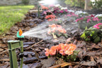 Micro Sprinkler Landscape & Shrub Kit