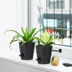 5 Pack 5 inch Self-Watering Pots, African Violets Planter with Drainage Holes and Reservoir, Black Plastic Planter for Indoor Outdoor Plants Flowers and Houseplants Black, 5 inch 5 pcs