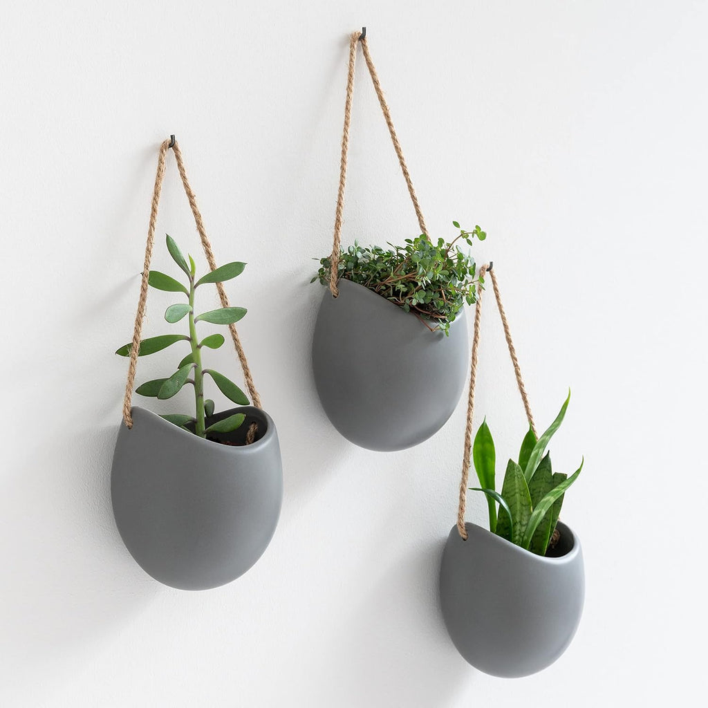 kazai. wall planters -ellie- | hanging ceramic plant, main product view