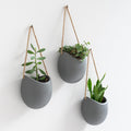 kazai. wall planters -ellie- | hanging ceramic plant, main product view