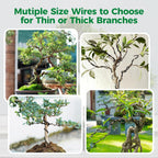 Bonsai Wire Kit with Cutter, Anodized Aluminum-189FT 7 Rolls 5 Sizes 1-3mm | 1.0, 1.5, 2.0, 2.5, 3mm, Bonsai Training Wire for Securing Thin Branches or Trunks, Ideal for Garden, Bonsai Tree Shaping