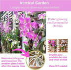 ShopLaLa Wall Planter – Hanging Planter for Indoor Plants, Plant Stand, Air Plant Succulent Holder, Vertical Garden. Large Wall Decor for Living Room, Room Decor for Teens