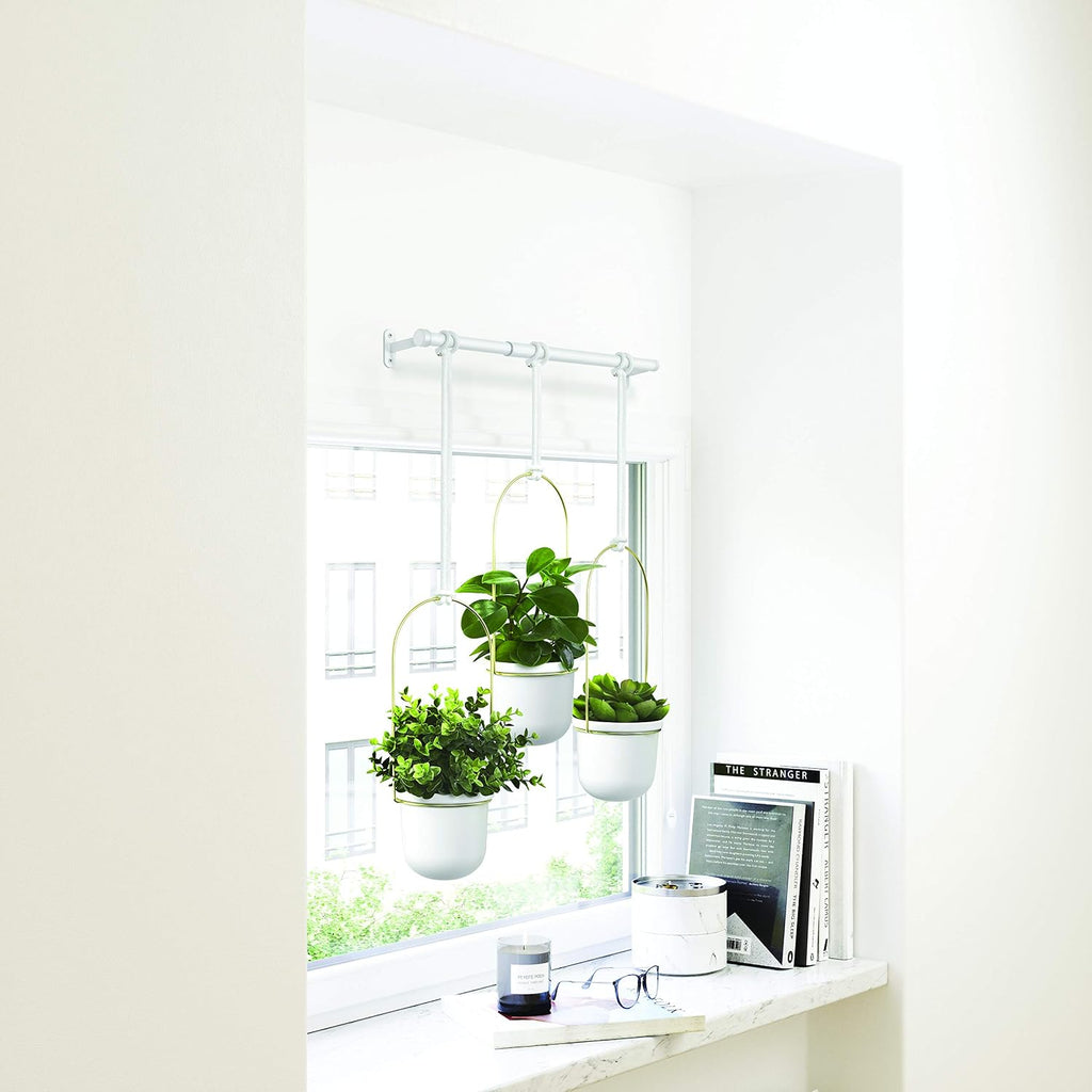 umbra triflora hanging planter, indoor herb garden, set, view 11