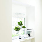 umbra triflora hanging planter, indoor herb garden, set, view 11