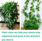 Plant Climbing Wall Fixture Clips, 100Pcs Self-Adhesive Plant Fixer Wall Clips Hook Vines Traction, Invisible Holder Leaf Shaped Wall Vines Fixing Clips Indoor Outdoor Decor