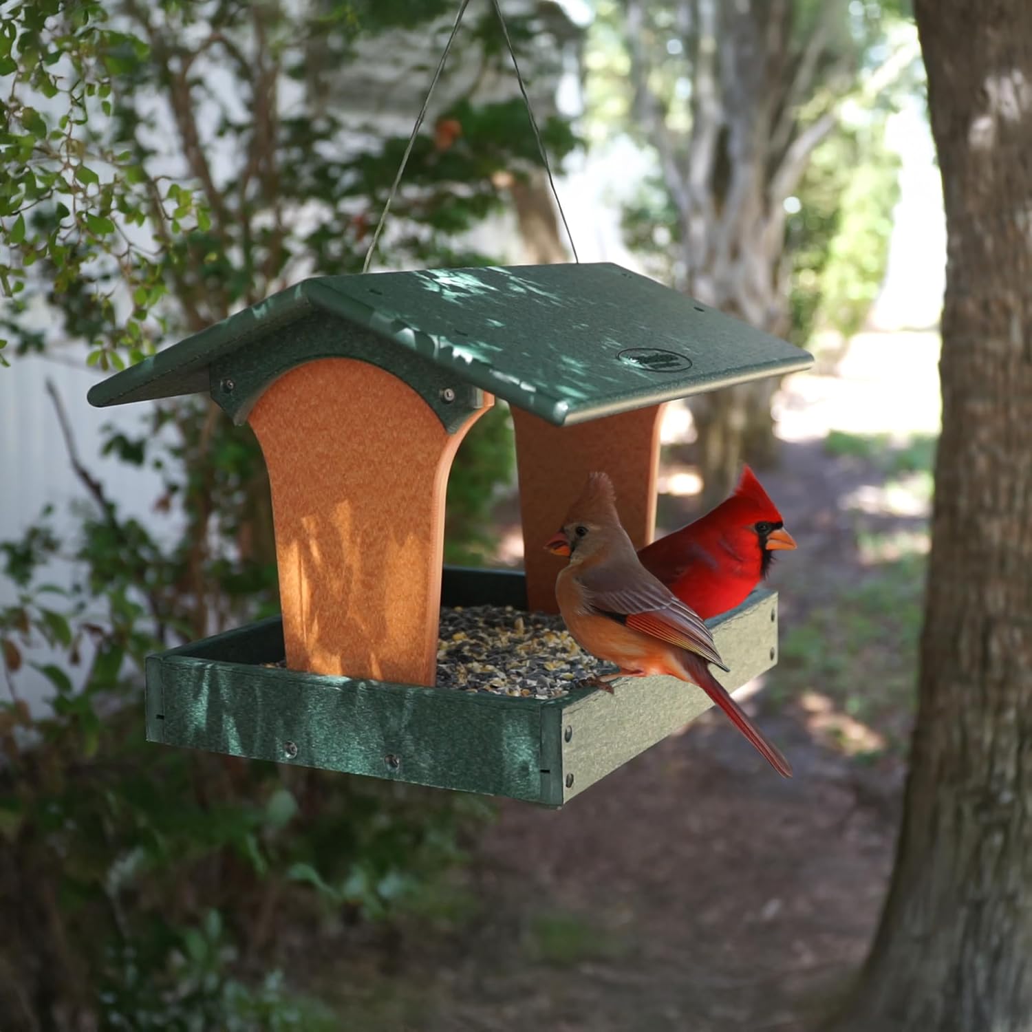 DutchCrafters Plastic Poly Covered Roof Hanging Fly Through Bird Feeder Open Side Platform Seed Tray for Outside Outdoor Garden - Amish American Made in USA (Turf Green & Cedar)