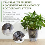 Self Watering Pots for Indoor Plants with Deep Reservoir and High Drainage Holes for Outdoor Plants and Flowers, Bare Root Planter(5.91'',Clear,6 Pcs)