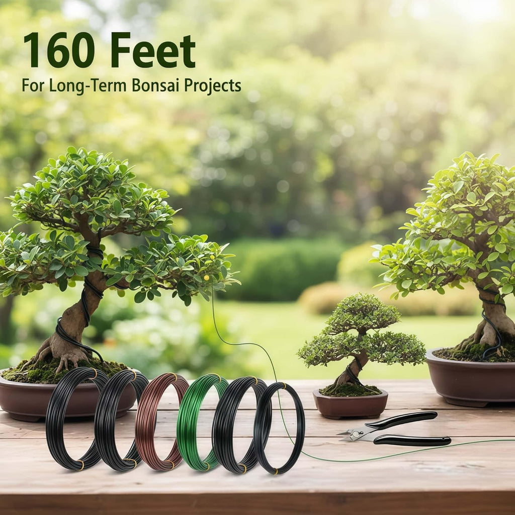 6 Roll Bonsai Training Wire Kit with Cutter, 160ft Anodized Aluminum 4Sizes | 1.0, 1.5, 2.0, 2.5mm Bonsai Wire Kit for Holding Branches & Small Trunks, for Garden & Indoor Bonsai Tree Shaping