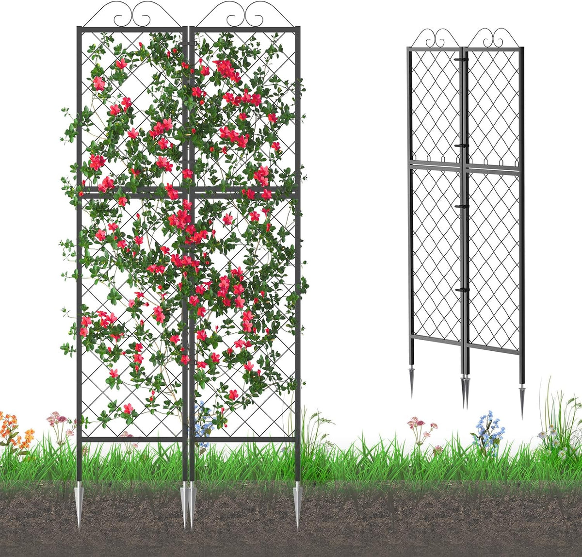 zhongma 2 pack metal garden trellises for climbing, main product view