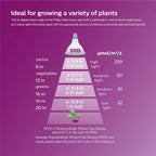 Philips LED Plant Grow Light Bulb PAR38, 1325 Lumen, Daylight (5000K), 15.5W, E26 Base, Title 20 Certified, 1-Pack