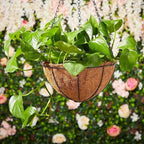 Hanging Baskets Planter for Plants - 2 Pack 10 Inch Metal Baskets with Coco Coir Liner, Hanging Flower Pots for Outside with Chain, Indoor Outdoor Garden Porch Decoration (10'' Pack of 2)