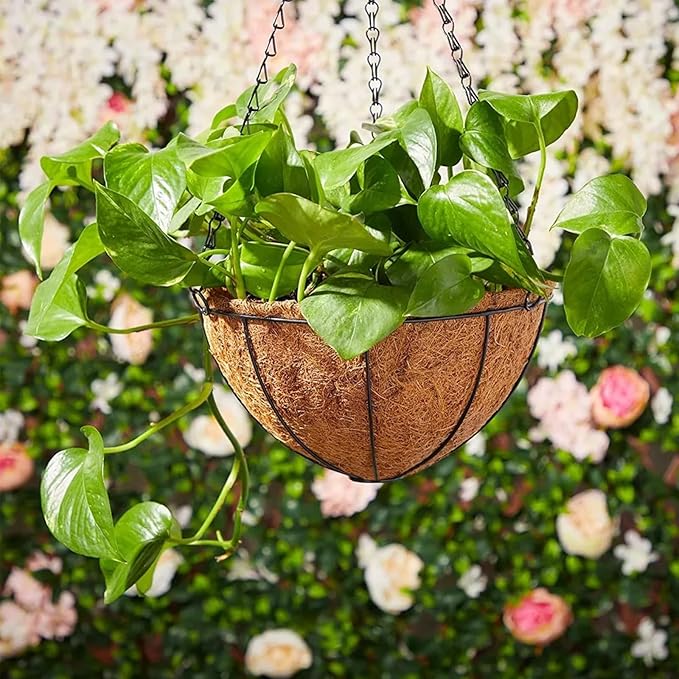 Hanging Baskets Planter for Plants - 2 Pack 10 Inch Metal Baskets with Coco Coir Liner, Hanging Flower Pots for Outside with Chain, Indoor Outdoor Garden Porch Decoration (10'' Pack of 2)
