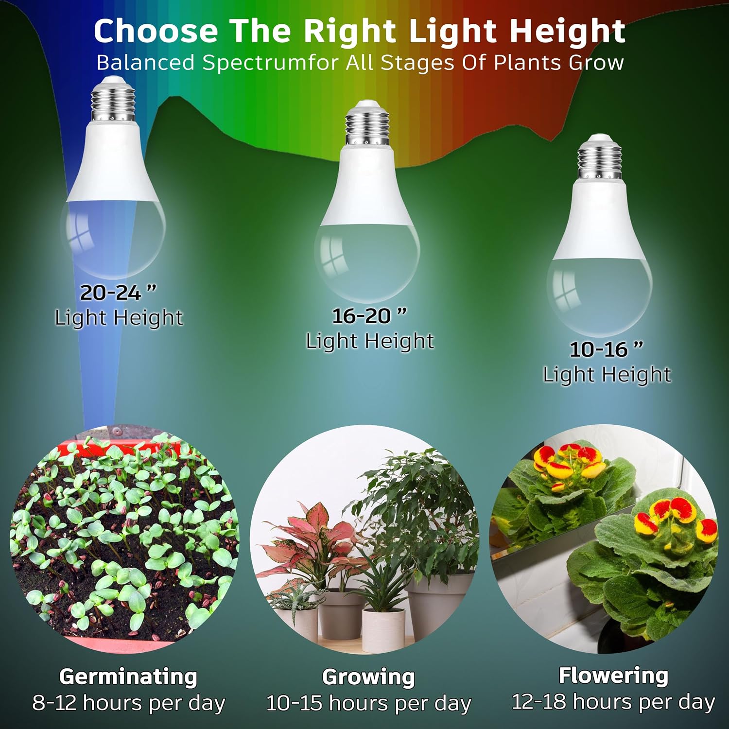 Led Grow Light Bulbs for Indoor Plants Full Spectrum E26 A19 | Grow LED Lamp 10W with Balanced 5000K Red Blue for Seeds Greens Laboratory,School,Greenhouse, Indore Garden, Hydroponic,3Pack