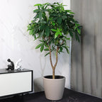Dexceder 13x12 Self Watering Planter with Wheels Indoor Outdoor, Inner Pot Design, Thickened Large Floor Standing Flower Plant Pot with Water Level Indicator (Taupe Matte)