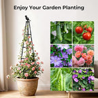 4 Pack Garden Trellis for Climbing Plants Outdoors,65" Tall Cucumber Trellis Garden Obelisk Trellis Rustproof Plants Support with Adjustable Heights for Indoor Potted Plants, Vines, Vegetables
