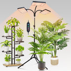FECiDA Tall Grow Light with Stand for Big and Large Houseplant, Bonsai Tree | 75 Watt, 3x Coverage, 3x Brightness, Better Growth, UV-IR Full Spectrum, 5-Mode Timer 4/8/12/16/20H, 24"-72" Ht Adjustable