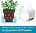 D'vine Dev 4 Inch Design Self Watering Planter for Indoor Plants, White Terracotta Pots with Cylinder Glass Cup, Set of 4, 37-Z-A-2-F