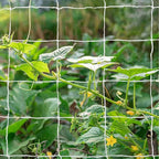 Tcamp Trellis Netting for Plants (5Ft x30Ft, 3.5" Square Mesh Ployester, 2Pack)