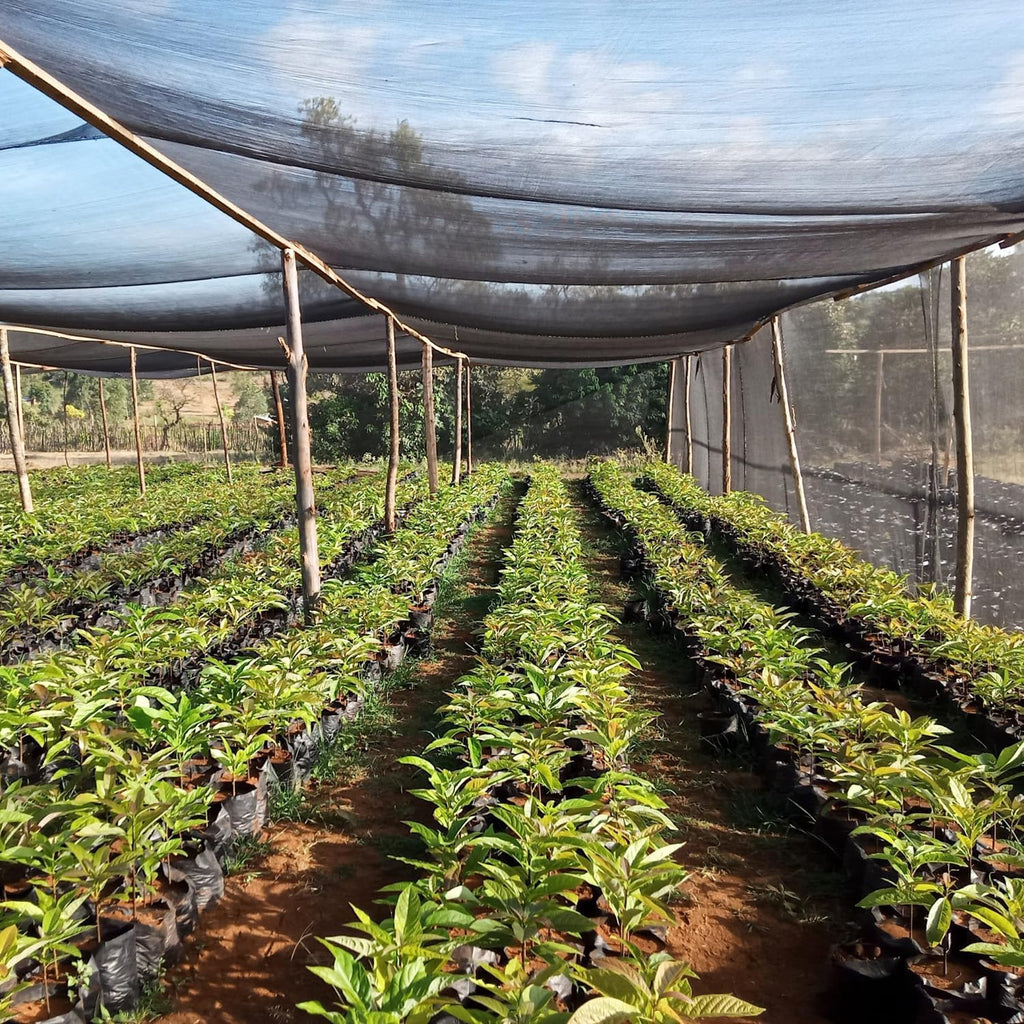 40% shade cloth for plants, 12x30 ft greenhouse on a desk or shelf