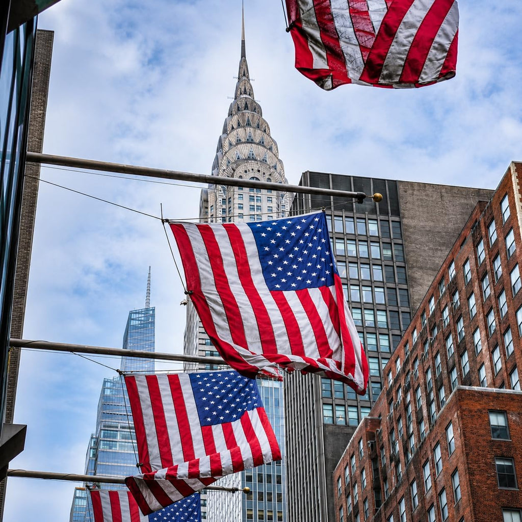 american flags for outside 3x5 (pack of 3), package contents