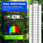 Barrina Plant Grow Lights, 4FT 5000K Full Spectrum Daylight White, 6 Packs | 252W(6 x 42W, 1400W Equivalent), T8 LED Grow Light Strips, Growing Lamp Fixture, Plant Lights for Indoor Plants, Greenhouse