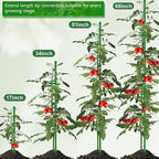 30Pcs Plant Support Stakes 17 inch SupKing Garden Orchid Sticks Extended to 3ft 4ft 5ft Plant Poles with Clips for Indoor Outdoor Potted Tomato Rose Amaryllis Vegetables Comes with 20 Ties