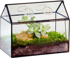 ncyp glass terrarium with lid and air holes, main product view