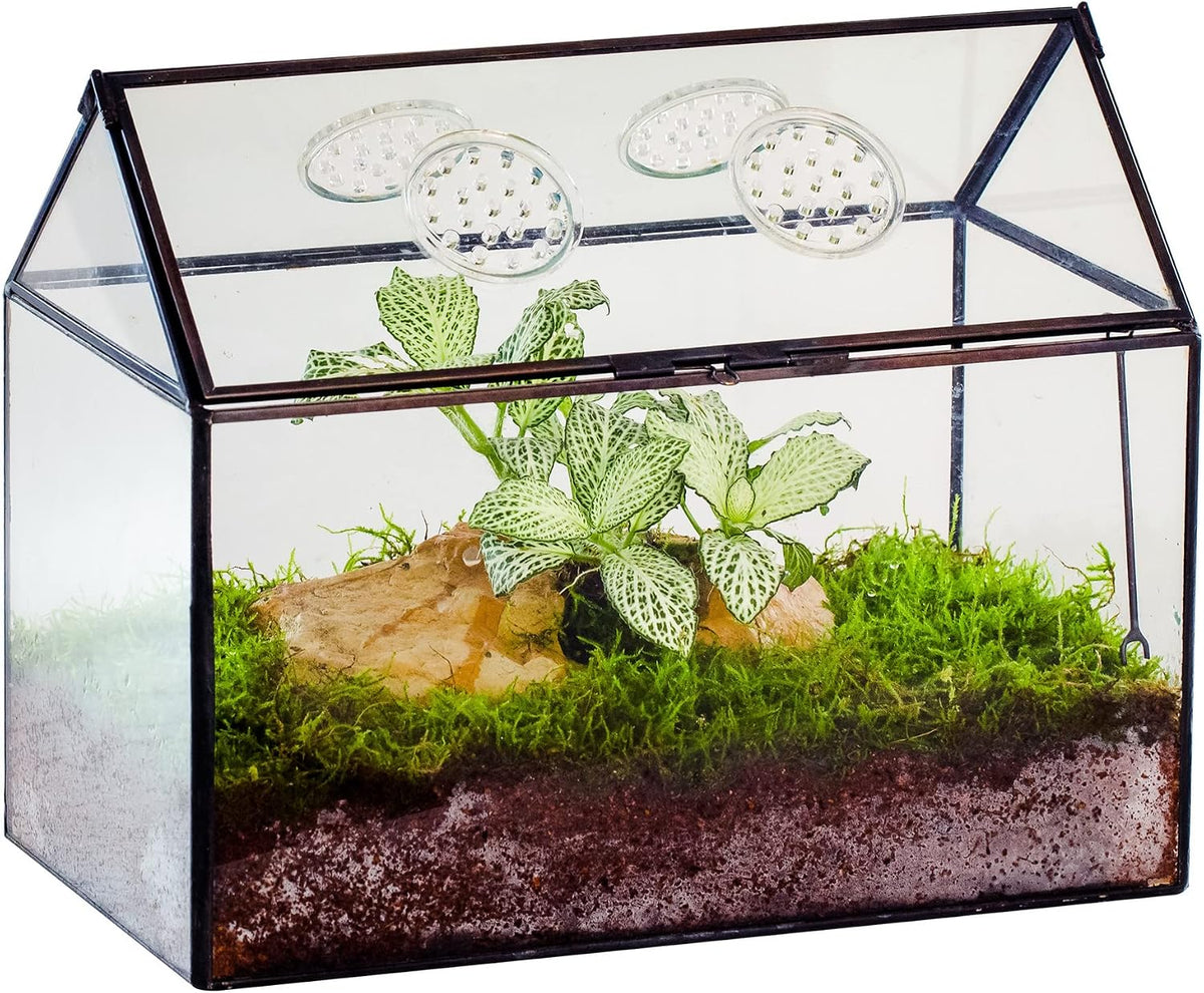 ncyp glass terrarium with lid and air holes, main product view