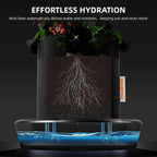 spider farmer 4 pot gravity-fed self watering system shown in use
