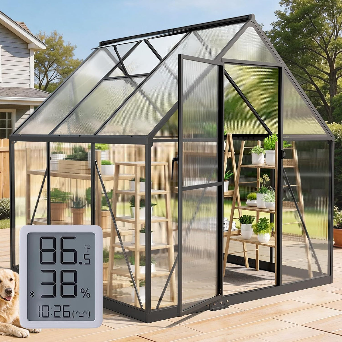 6x6 ft walk in greenhouse with hygrometer, windproof, main product view