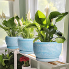 SQOWL Ceramic Plant Pots - 10 Inch Ceramic Flower Pots with Drainage Hole and Saucer, Round Large Planter for Indoor Outdoor, Decorative Modern Planter, Kitchen Decor, House Warming Gifts, Blue