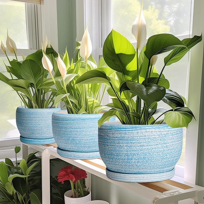 SQOWL Ceramic Plant Pots - 10 Inch Ceramic Flower Pots with Drainage Hole and Saucer, Round Large Planter for Indoor Outdoor, Decorative Modern Planter, Kitchen Decor, House Warming Gifts, Blue
