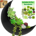 Wall Planter - Window Planter - 14Pcs Artificial Succulents - Hanging Moon Planter - Boho Hanging Planters for Indoor Plants, Air Plant, Cactus, Faux, Unique Gifts for Women, Birthdays, Plant Lovers