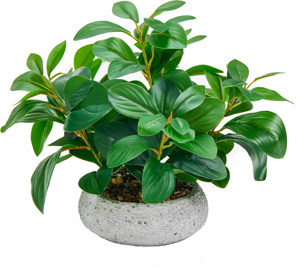 k&y realistic artificial potted plants olive wild fern, main product view