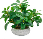 k&y realistic artificial potted plants olive wild fern, main product view