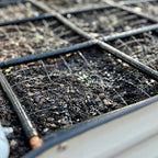 The Garden Grid | Pre-Assembled Raised Garden Bed Irrigation System – Waters Every Plant Evenly, 1-Minute Setup, Hassle-Free Design Lasts 5–10x Longer Than Drip Kits | USA-Made | 3x3 (33.5"x33.5")