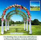 multi-size large garden support arch frame climbing plant on a desk or shelf
