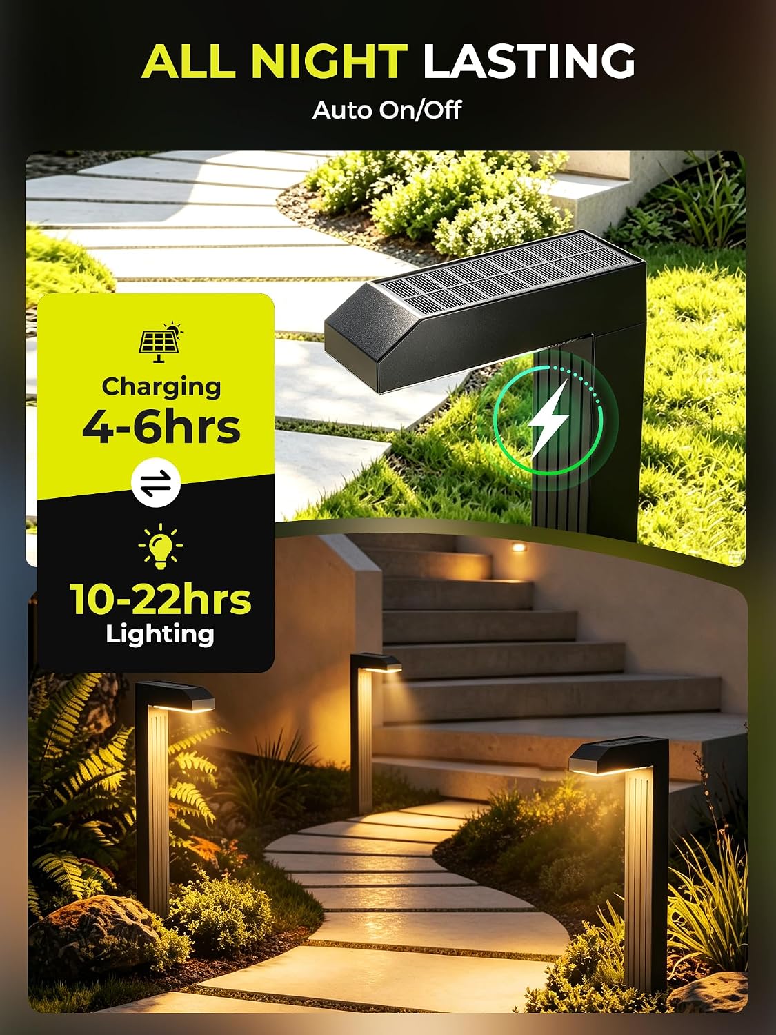 COXSENI Solar Pathway Lights Outdoor,3 Color Temperatures,20 LEDs,6 Pack | Clear Tempered Glass Solar Panel,IP65 Waterproof,Bright Led Landscape Lighting,Yard,Walkway,Driveway,Patio,Lawn,Auto On Off