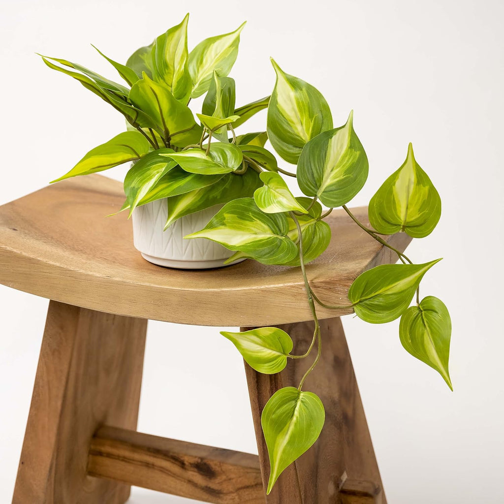 kurrajong farmhouse light green fake pothos plant | on a desk or shelf
