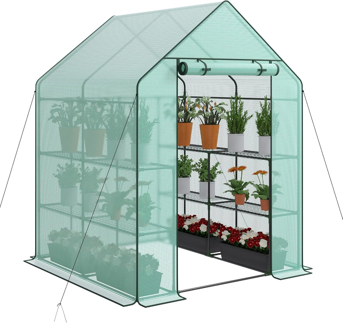 nova microdermabrasion walk-in greenhouse for outdoors, 57 x, main product view