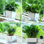 Planterhoma Self Watering Plant Pots for Indoor Plants 4.3 inch, 6 Packs Square Self-Watering Planters with Drainage Hole, White African Violet Pots for Devil's Ivy, Spider Plant, Orchid, Herb
