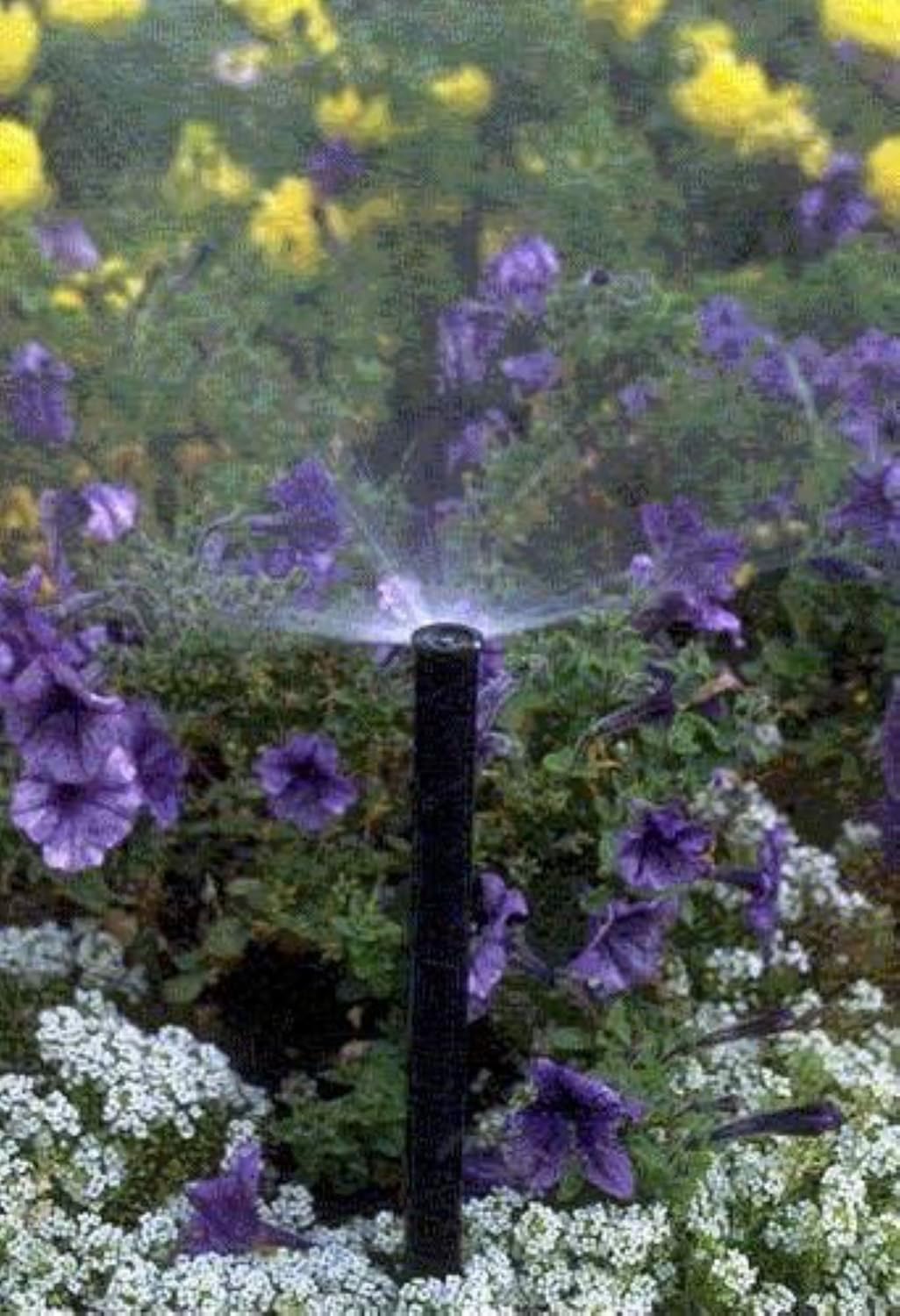 Rain Bird 1812AP Professional Pop-Up Sprinkler, Full Circle, 8-15 Feet, 12"