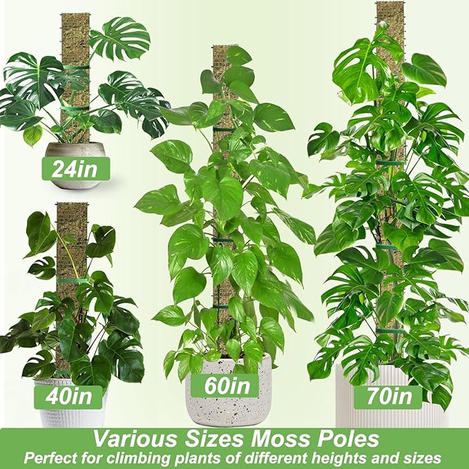 60" Metal Moss Pole, D Shape Sphagnum Moss Pole, Moss Poles for Climbing Plants, Monstera, Indoor Climbing Plants (2Pcs 60")