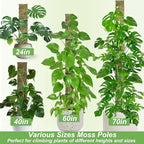60" Metal Moss Pole, D Shape Sphagnum Moss Pole, Moss Poles for Climbing Plants, Monstera, Indoor Climbing Plants (2Pcs 60")