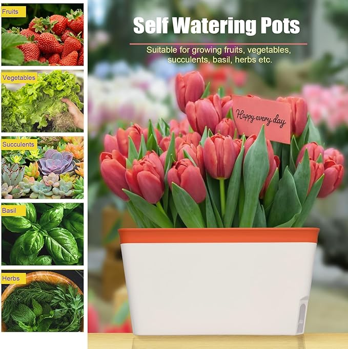 OurWarm 3 Pack Self Watering Herb Planter Set for Windowsill, 10.5In Indoor Herb Garden Planters with Water Level Indicator, Dual Layer Easy Care Pot for Basil, Flowers, Vegetables & Succulent